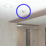 屋内・室内へのドーム型防犯カメラ設置例2